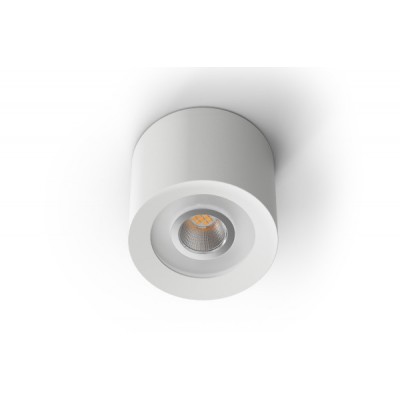 LED Ceiling Spot RGBW Tree White